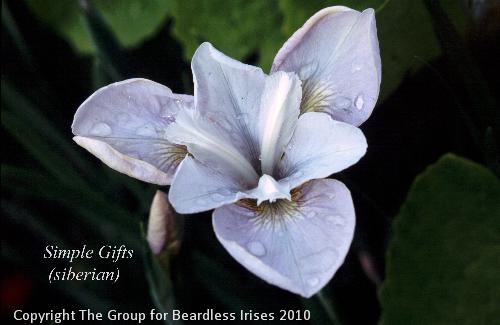 Simple Gifts
